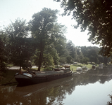 119357 Gezicht over de Stadsbuitengracht te Utrecht, met op de achtergrond het Willemsplantsoen.